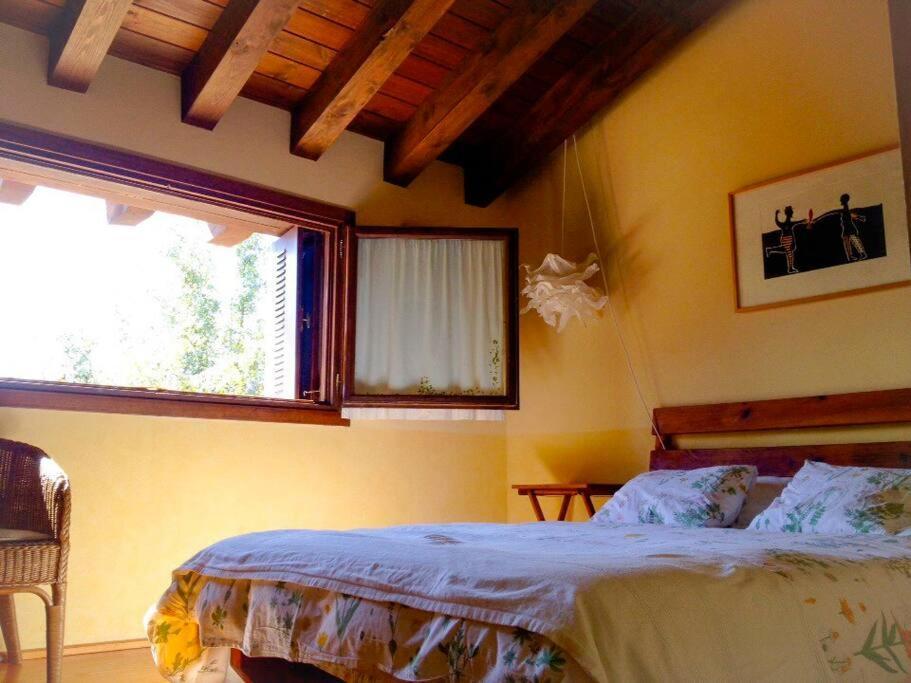 Casa Rural La Fresneda De Tenzuela Segovia Exterior foto